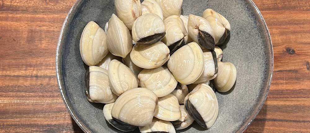 venusmuscheln-2