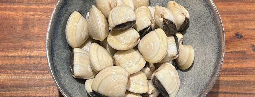 venusmuscheln-2