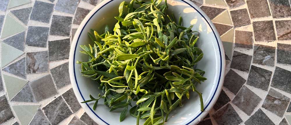 meerfenchel-2