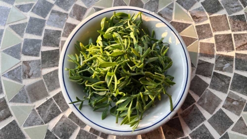 meerfenchel-2