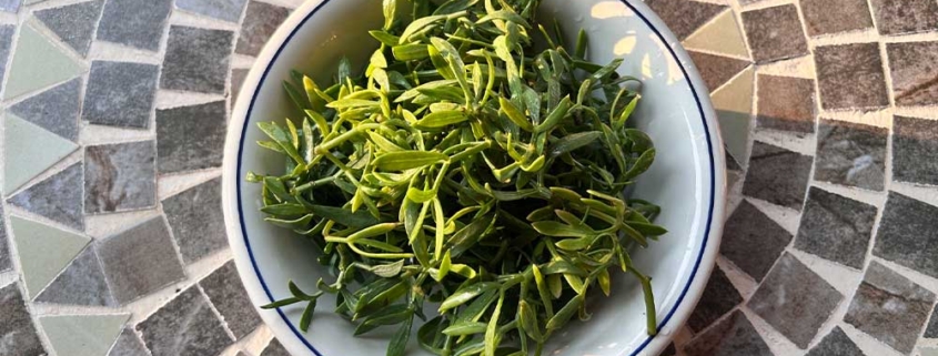 meerfenchel-2