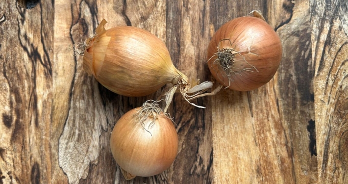 Zwiebeln