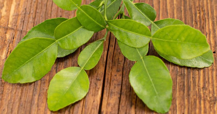 kaffir-limetten-blaetter